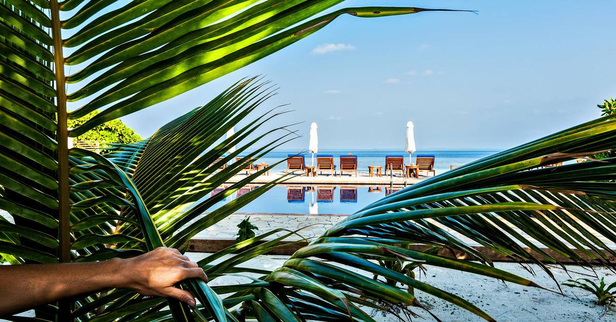 Paradisus Grand Cana - concord travel - 16